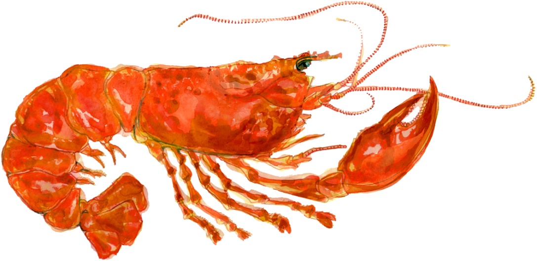 lobster-logo-col-290515